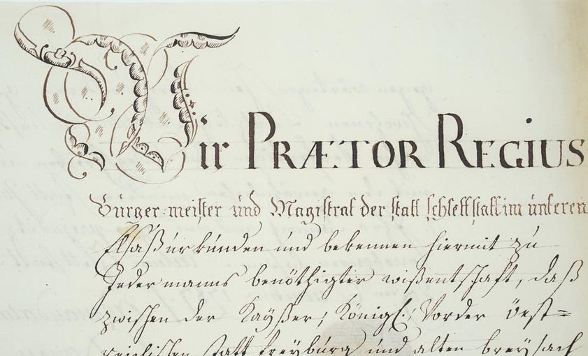 Document relatif à divers droits  et statuts en application à Sélestat (BB80 - 1700/1799). La lettrine représente un W.