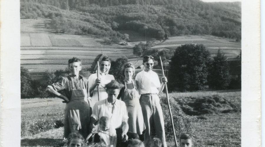 Fenaison à Maisonsgoutte, en Alsace, en 1945. Albert Drouan est au centre. 